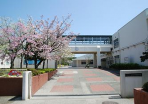 横浜市立並木中央小学校